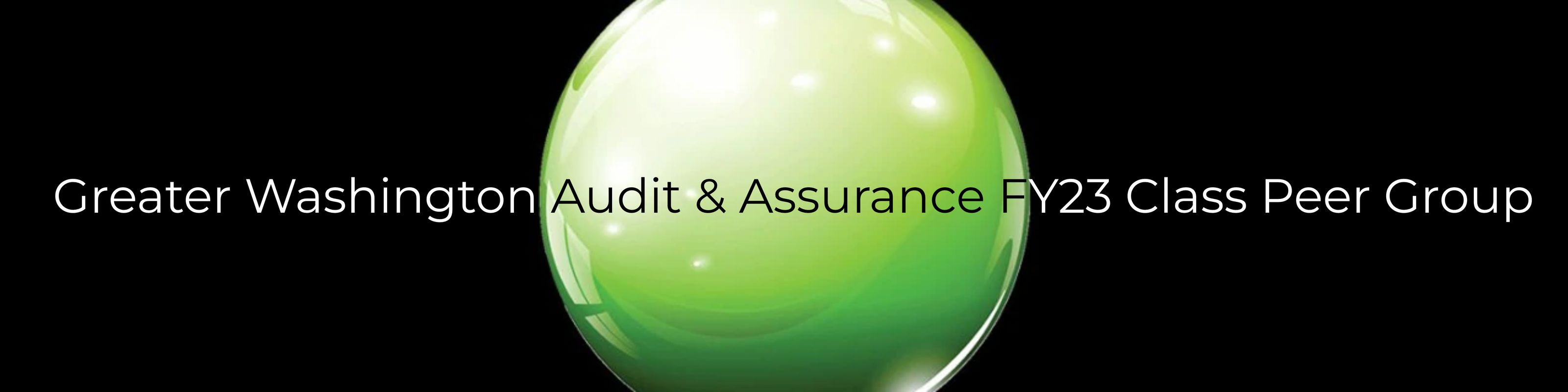 Greater Washington Audit & Assurance FY23 Class Peer Group